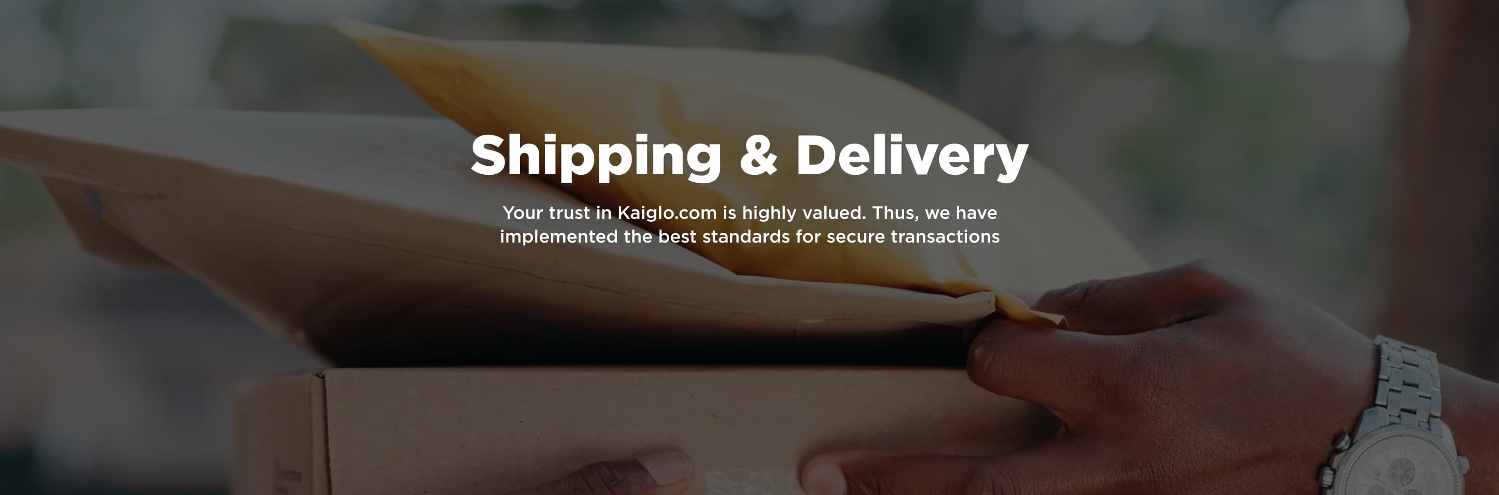 Shipping and delivery banner